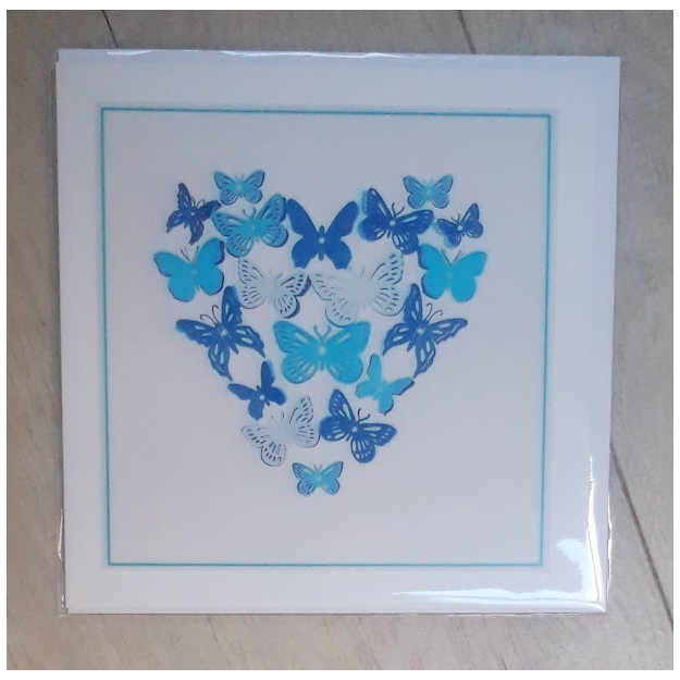 butterfly_front