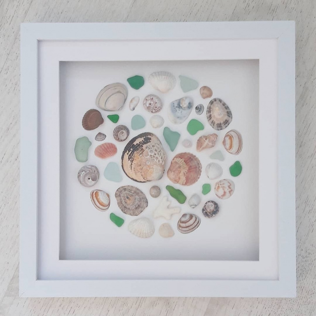 Coastal Shell Picture by Loz Walters